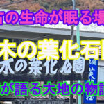 那須塩原の太古の記憶をたどる｜木の葉化石園で出会う美しい化石たち