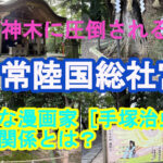 ご神木の清らかさに触れ、旧参道を歩く｜常陸国総社宮を動画で紹介