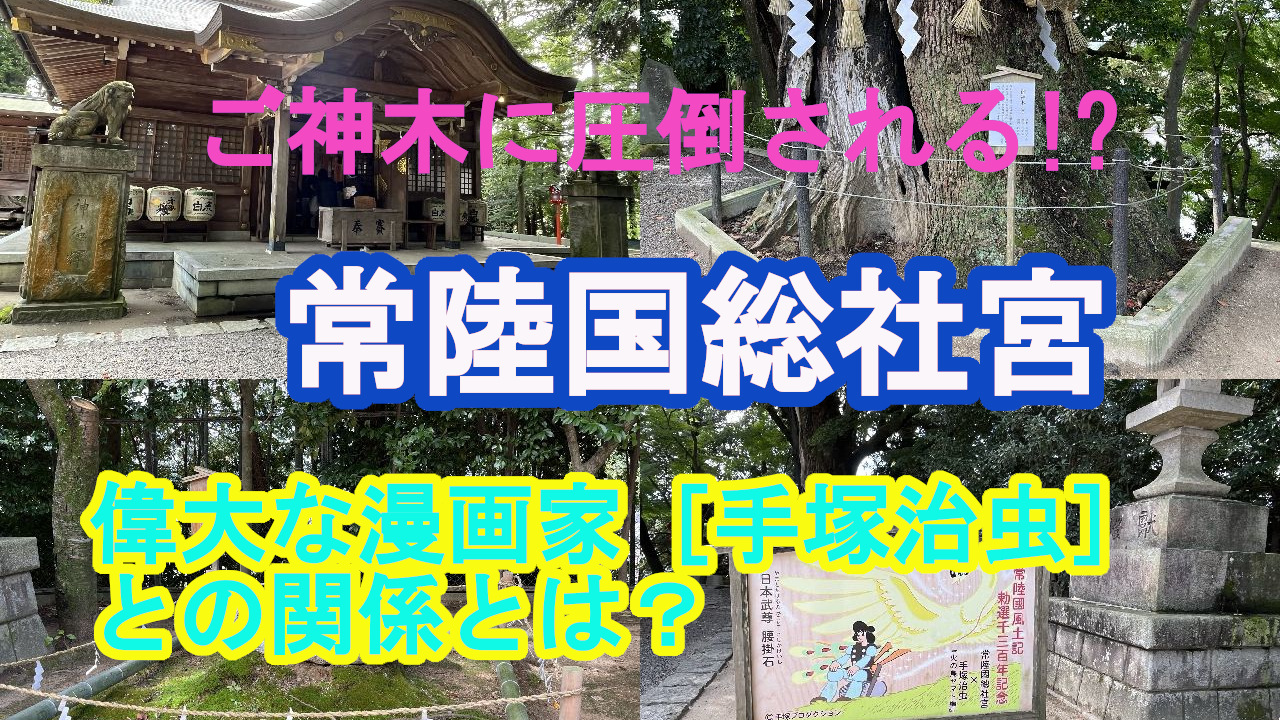 ご神木の清らかさに触れ、旧参道を歩く｜常陸国総社宮を動画で紹介
